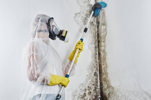 Best Mold Testing  in Three Rivers, CA