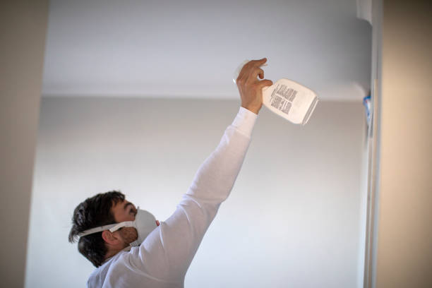 Best Emergency Mold Removal  in Three Rivers, CA