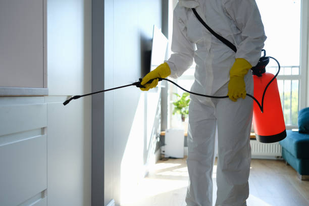 Best Commercial Mold Removal  in Three Rivers, CA