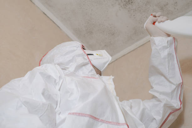 Best Professional Mold Removal  in Three Rivers, CA